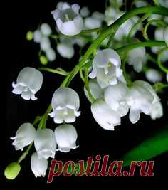 Pinterest: инструмент для поиска и хранения интересных идей