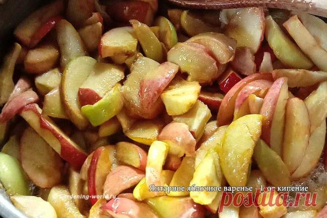 Словно янтарь в банке! Варенье из яблок дольками пятиминутка — рецепт с фото | Дача - это маленькая жизнь | Дзен