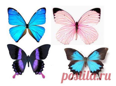 Картинки для творчества | 1 772 фотографии | ВКонтакте