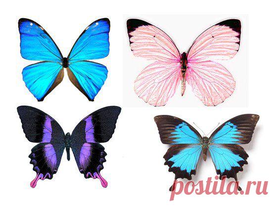 Картинки для творчества | 1 772 фотографии | ВКонтакте