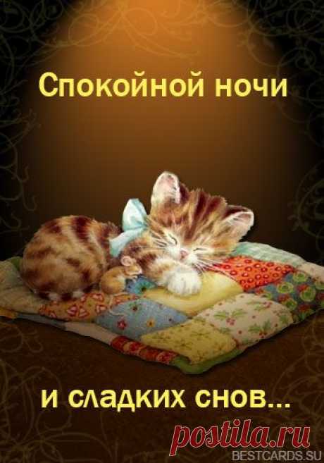живые открытки спокойной ночи - Поиск в Google