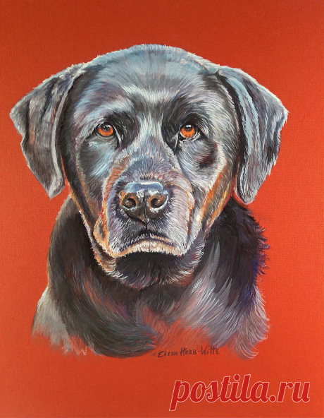 Maggie Black Lab Dog by Eileen Herb-witte Maggie Black Lab Dog Painting by Eileen Herb-witte