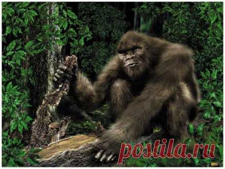 Sasquatch Art
(Изображение JPEG, 543 × 407 пикселов)