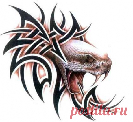 Мужские эскизы Змеи - Студия художественной татуировки PRO-tattoo