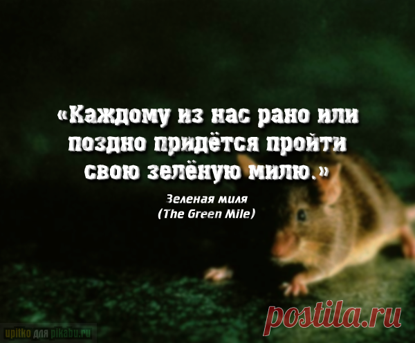 Самые известные кино-фразы, над которыми стоит задуматься