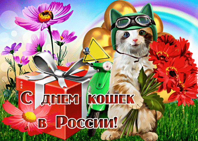 Промяукаю сегодня
Вам свои я поздравления,
Завести красотку-кошку —
Это мудрое решение.