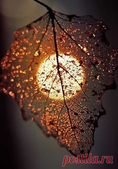 Pinterest