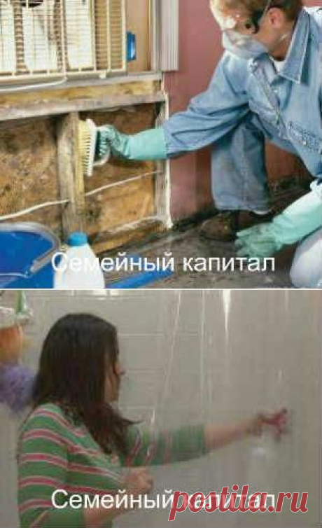 Какие средства помогут избавиться от плесени