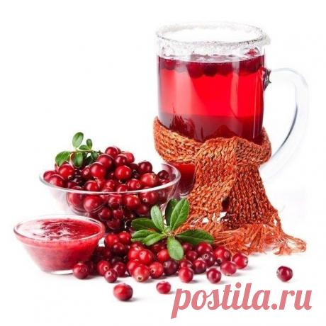 Пятерка лучших природных антибиотиков