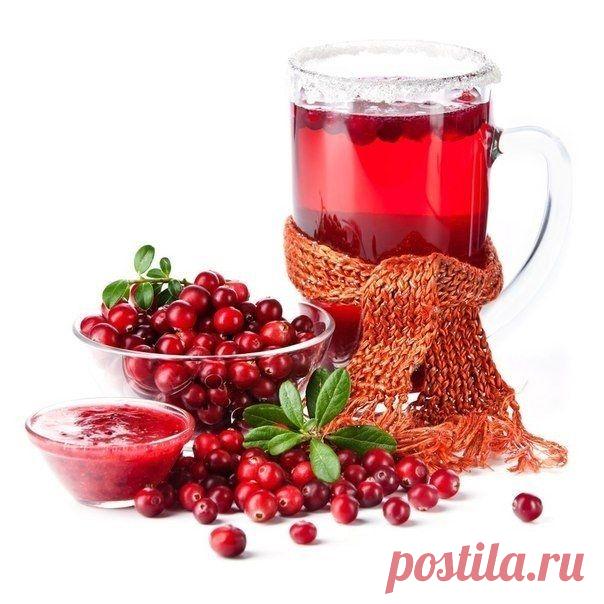 Пятерка лучших природных антибиотиков