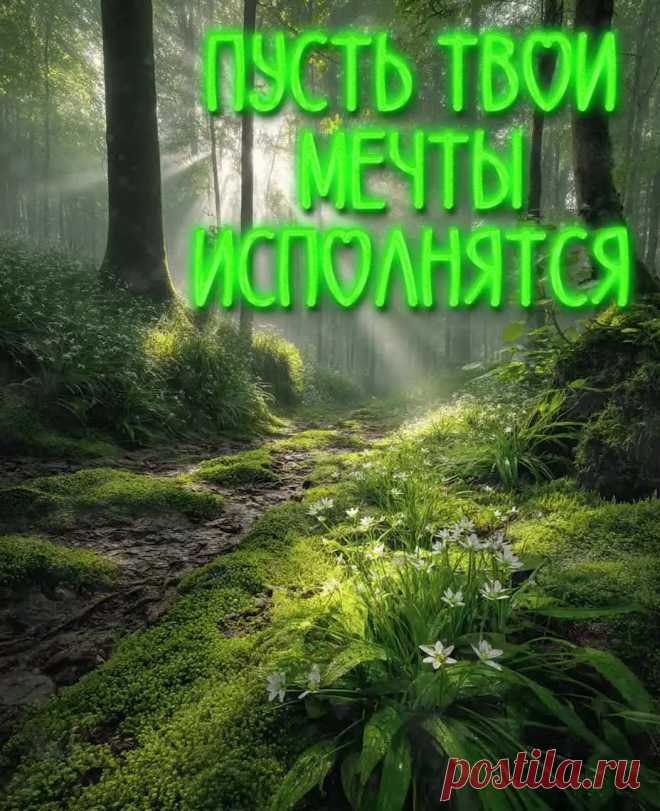 Открытка доброе утро. Пусть все мечты исполнятся!