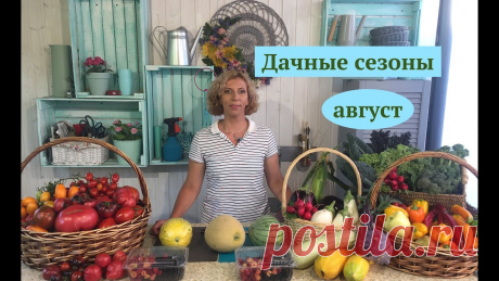 СЛИЗНИ!!! Сажаем смородину В этом выпуске безопасным способом расправимся со слизнями. Посадим черную смородину по всем правилам. Составим универсальный коктейль для подкормки. выберем...