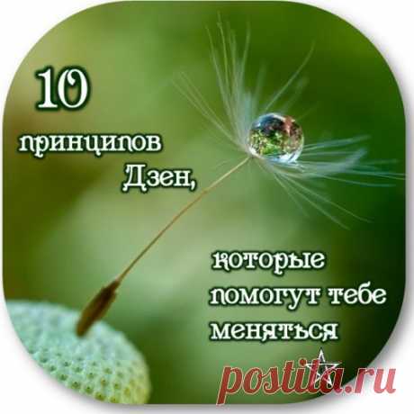10 принципов Дзен, которые помогут тебе меняться