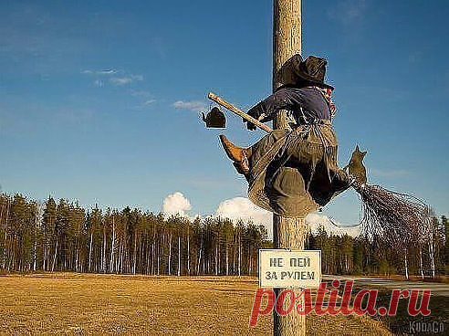 Не пей за рулём!!!