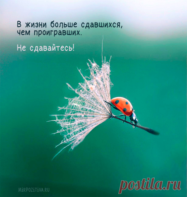 Картинки позитивные