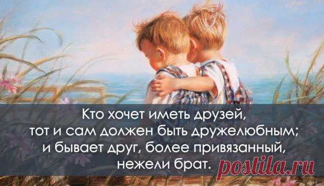 Новости
