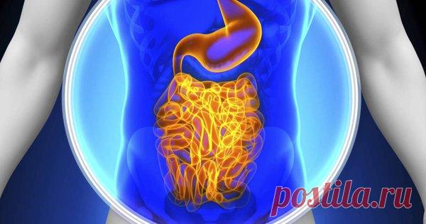 Генеральная уборка тонкого кишечника; 4 эффективных способа