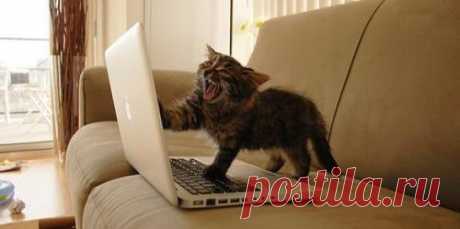 Осознание / Западло