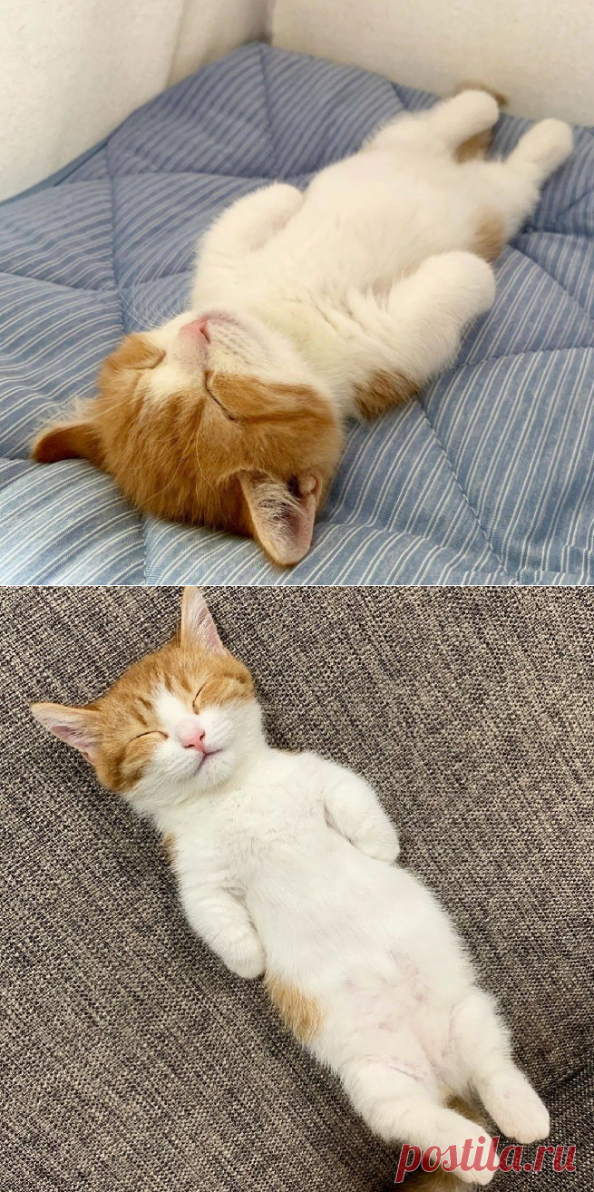 Картинки и фотографии на просторах интернета