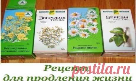 Рецепт для продления жизни — Копилочка полезных советов