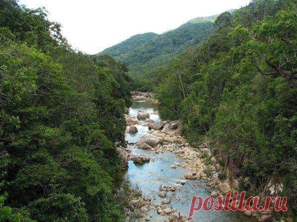 Природа, животные и птицы | Фотографии Александр Пехов | 390 фото