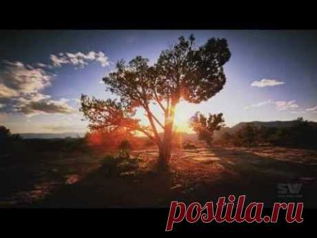 &quot;Господи, я прошу не о чудесах и не о миражах,
а о силе каждого дня.
Научи меня искусству
маленьких шагов.
Сделай меня
наблюдательным и находчивым, чтобы в пестроте будней
вовремя
останавливаться на открытиях и опыте,
которые меня
взволновали.
Научи меня правильно
распоряжаться
временем моей жизни.
Подари мне тонкое
чутье, чтобы отличать
первостепенное от второстепенного...&quot;