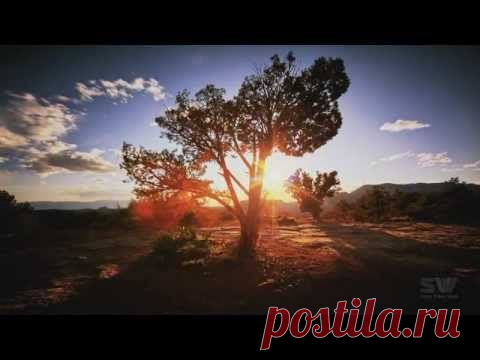 "Господи, я прошу не о чудесах и не о миражах,
а о силе каждого дня.
Научи меня искусству
маленьких шагов.
Сделай меня
наблюдательным и находчивым, чтобы в пестроте будней
вовремя
останавливаться на открытиях и опыте,
которые меня
взволновали.
Научи меня правильно
распоряжаться
временем моей жизни.
Подари мне тонкое
чутье, чтобы отличать
первостепенное от второстепенного..."