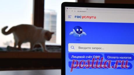 Россияне смогут узнать о доступных мерах соцподдержки через "Госуслуги"
