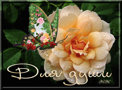 Группа: Красивые открытки для друзей на все случаи жизни