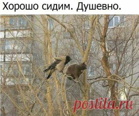1 непрочитанный чат