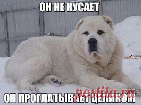 Фото приколы