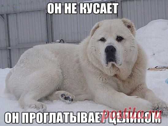 Фото приколы