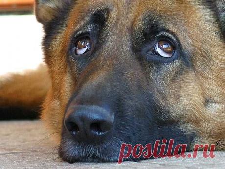 Новые фотографии