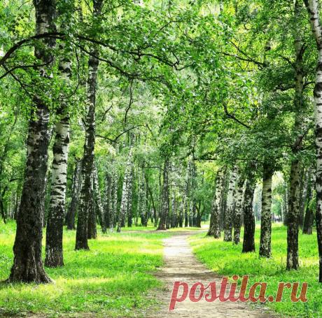 Мой Мир@Mail.Ru