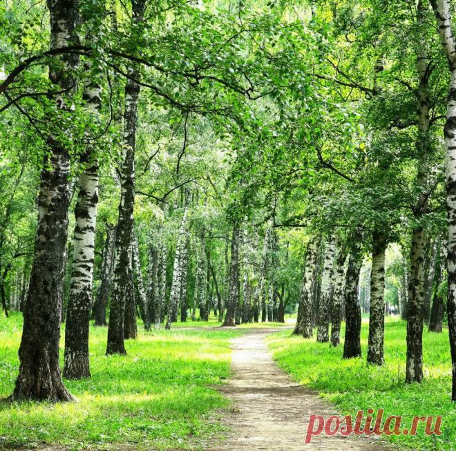 Мой Мир@Mail.Ru