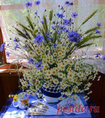 (3) Одноклассники