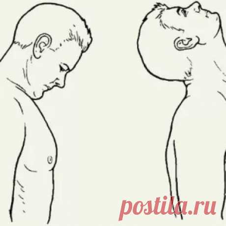 Фантастическое упражнение для восста­новления баланса в области шеи