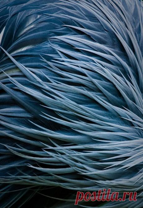 Foliage, leaves, ferns, greenery, undergrowth, overgrown, botanical,