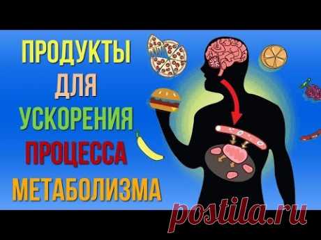 Продукты которые помогут вам ускорить процесс метаболизма Как улучшить обмен веществ в организме - YouTube