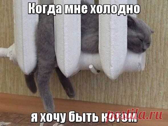 Мой Мир@Mail.Ru