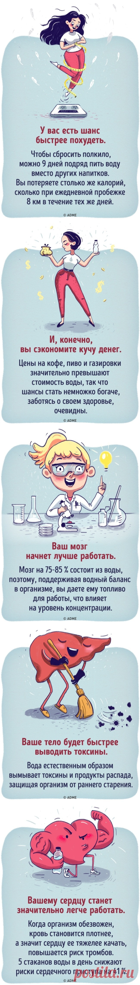 Что будет, если все напитки заменить водой