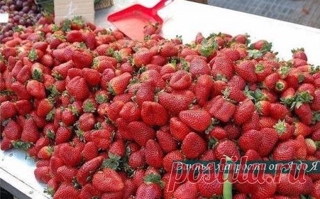 (2) Одноклассники  ДВА В ОДНОМ-ПОДКОРМКА И БОРЬБА С ВРЕДИТЕЛЯМИ