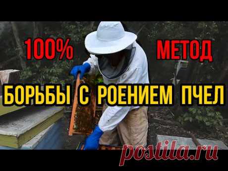Как за один раз избежать роения пчёл на пасеке. 100% противороевой метод
