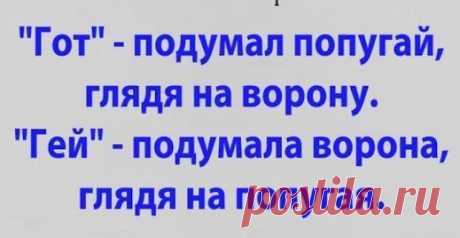 юмор