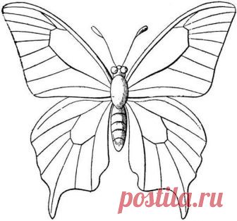 Трафареты бабочек