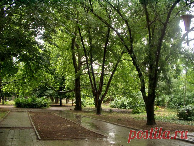 Люблю Севастополь !!!
Андрей Фролов