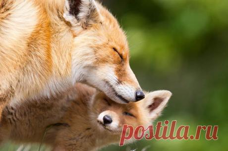 Семейный альбом / Путешествия / Моя Планета