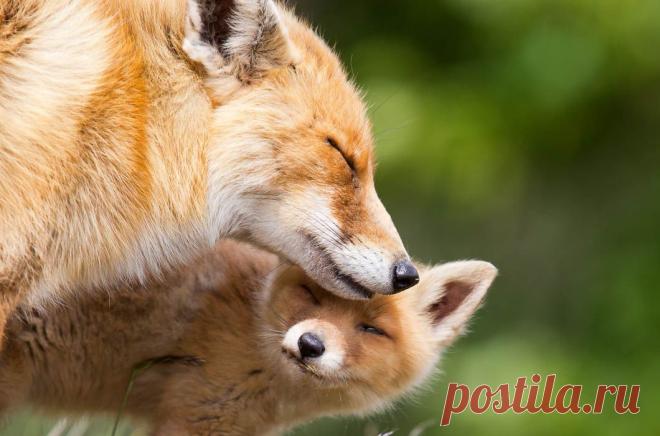 Семейный альбом / Путешествия / Моя Планета