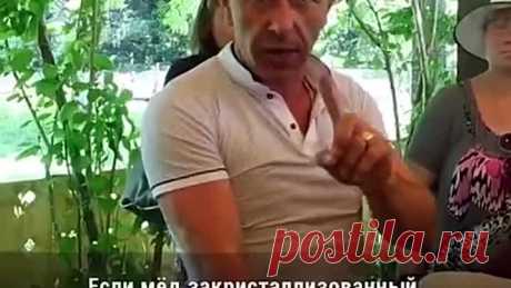 Как отличить настоящий мёд от поддельного