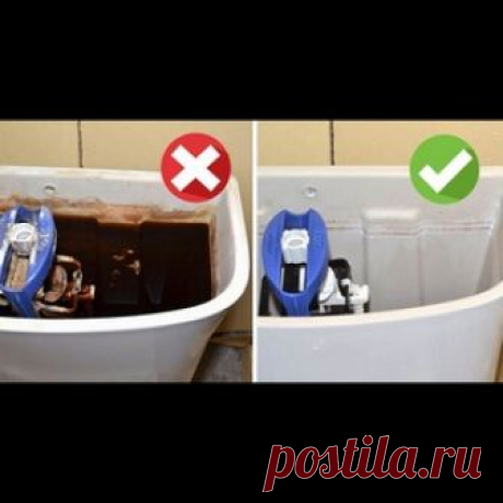 Как добиться идеальной чистоты сливного бачка унитаза? Как известно, шестым подвигом Геракла была очистка конюшен царя Авгия, которые до этого не чистились 30 лет. Сегодня мы предлагаем заглянуть туда, куда обычный человек заглядывает не чаще, чем Авгий в свои конюшни.